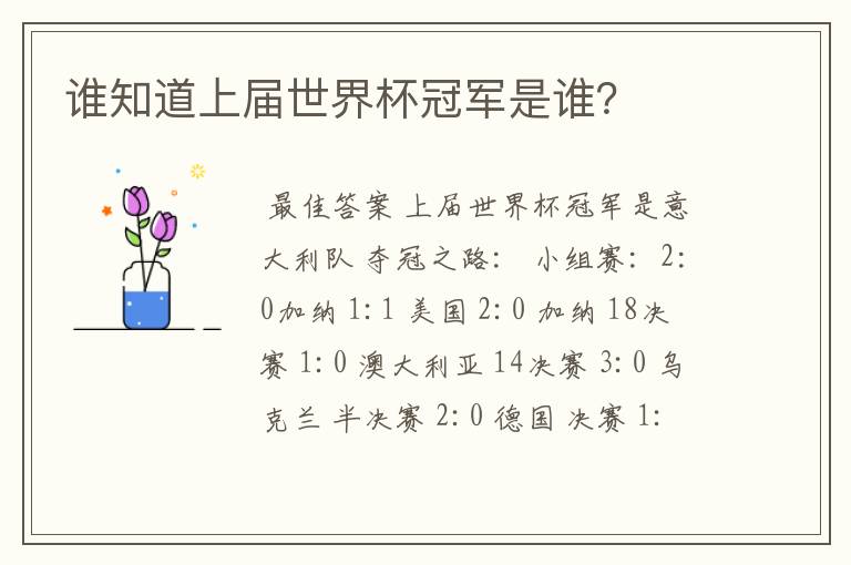 谁知道上届世界杯冠军是谁?