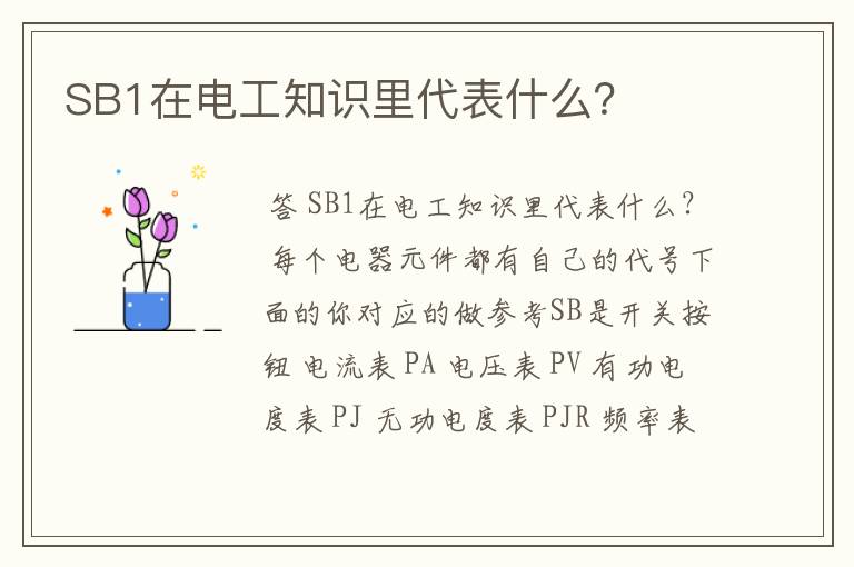 SB1在电工知识里代表什么?