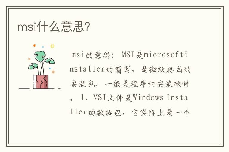 msi什么意思？