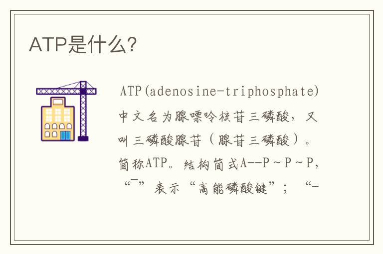 ATP是什么?