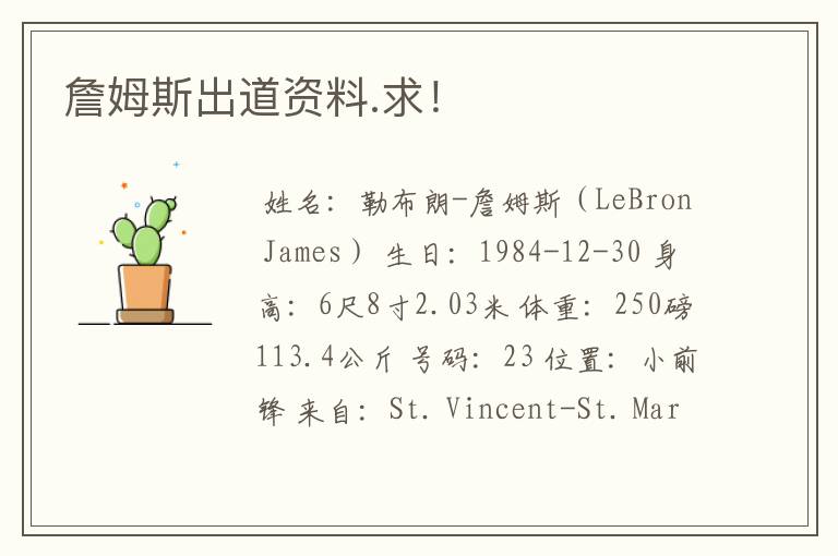詹姆斯出道资料.求!