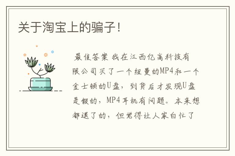 关于淘宝上的骗子!