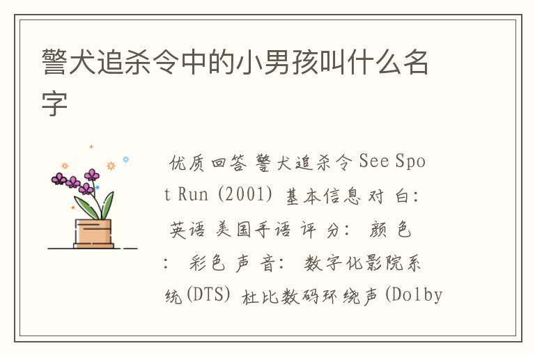 警犬追杀令中的小男孩叫什么名字