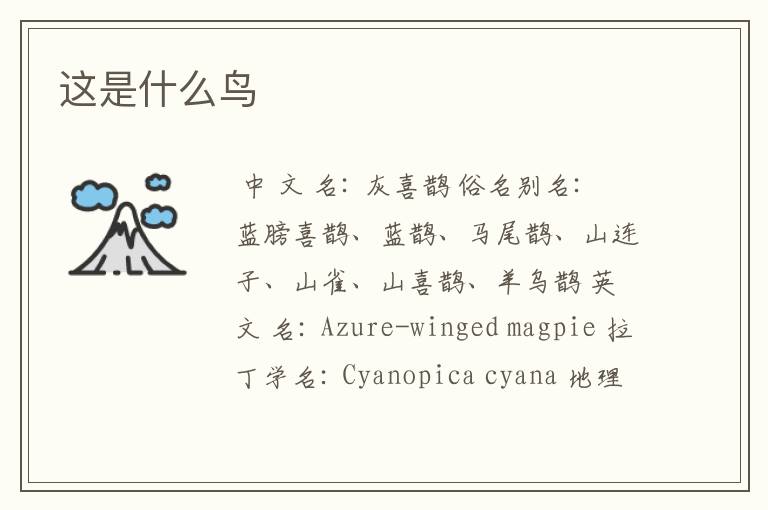 这是什么鸟