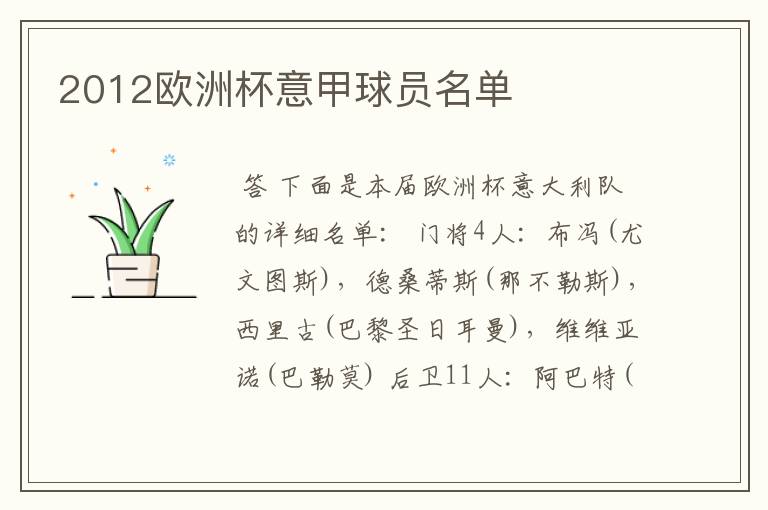 2012欧洲杯意甲球员名单
