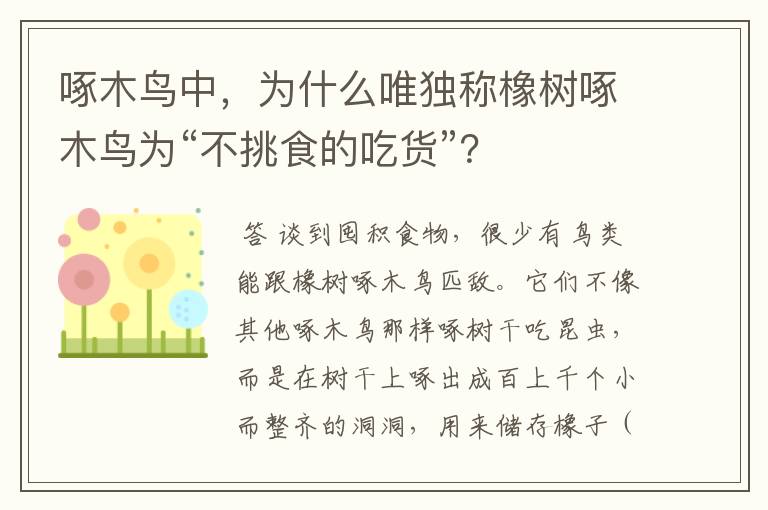 啄木鸟中,为什么唯独称橡树啄木鸟为“不挑食的吃货”?
