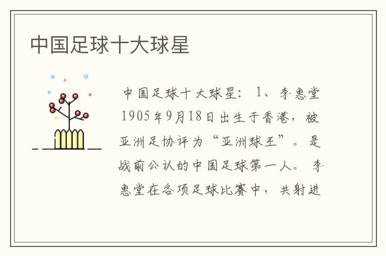 中国足球十大球星