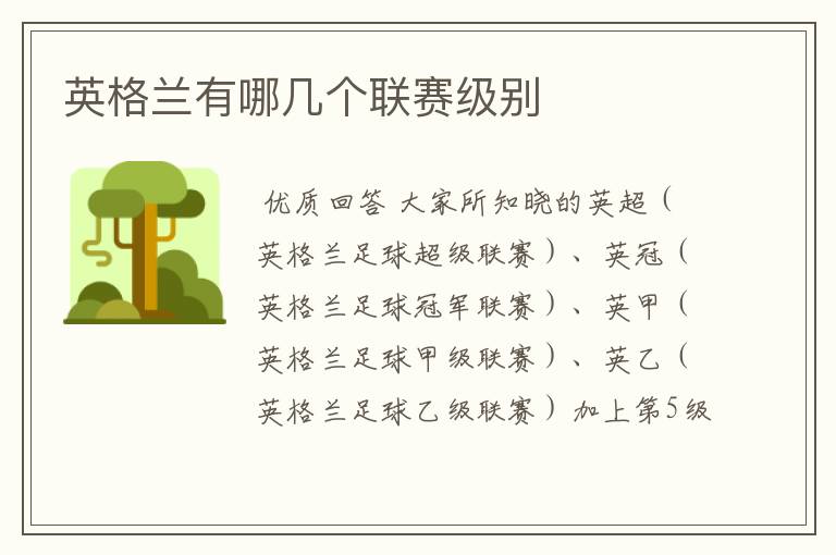 英格兰有哪几个联赛级别