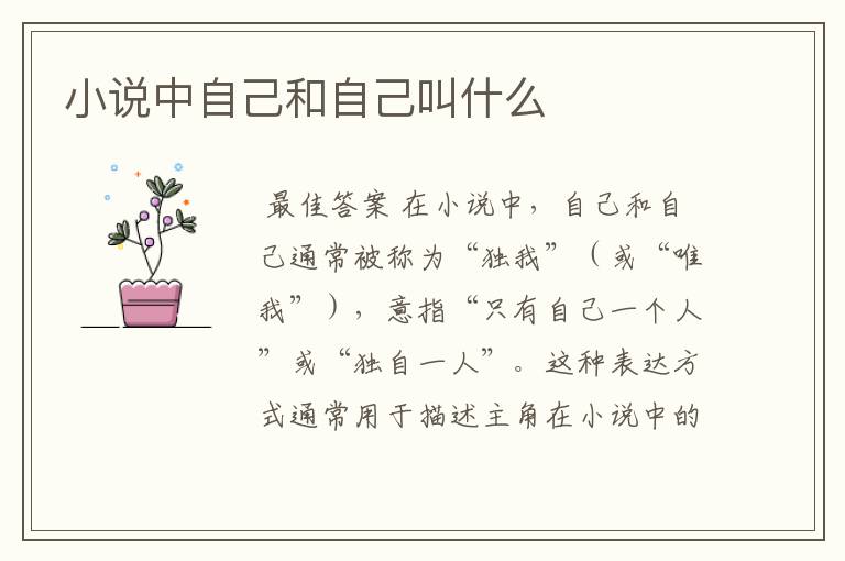 小说中自己和自己叫什么