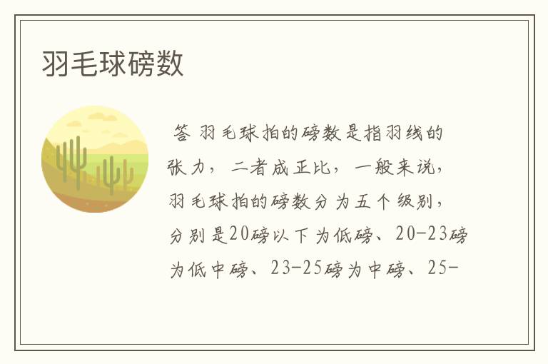 羽毛球磅数