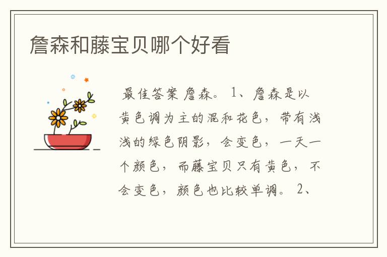詹森和藤宝贝哪个好看