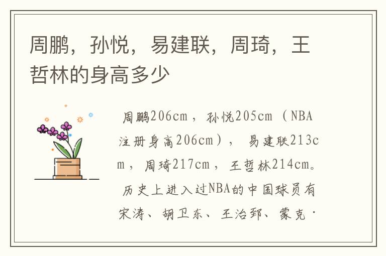 周鹏,孙悦,易建联,周琦,王哲林的身高多少