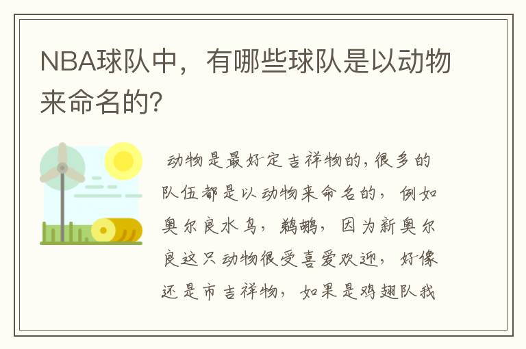 NBA球队中,有哪些球队是以动物来命名的?
