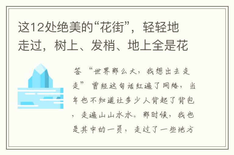 这12处绝美的“花街”,轻轻地走过,树上、发梢、地上全是花