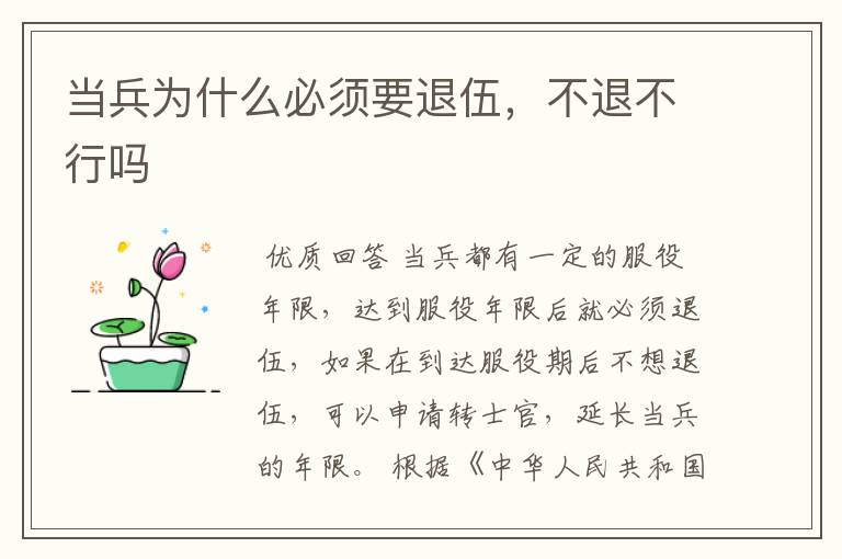 当兵为什么必须要退伍,不退不行吗