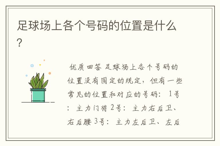 足球场上各个号码的位置是什么?
