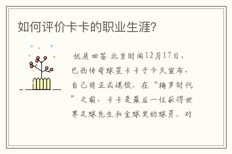 如何评价卡卡的职业生涯?
