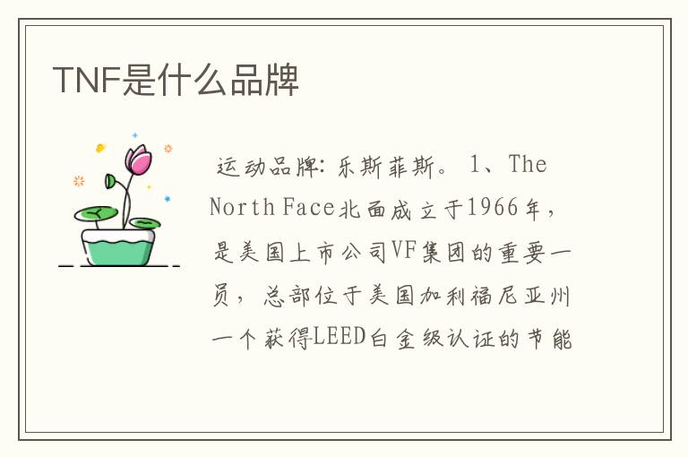 TNF是什么品牌