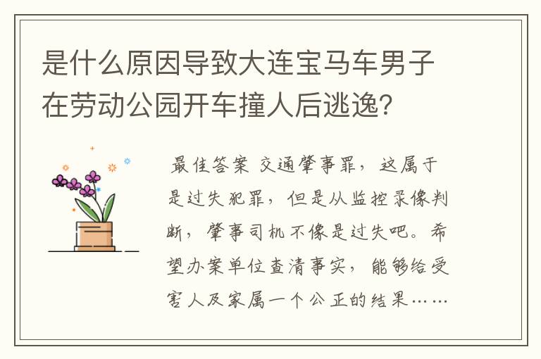 是什么原因导致大连宝马车男子在劳动公园开车撞人后逃逸?