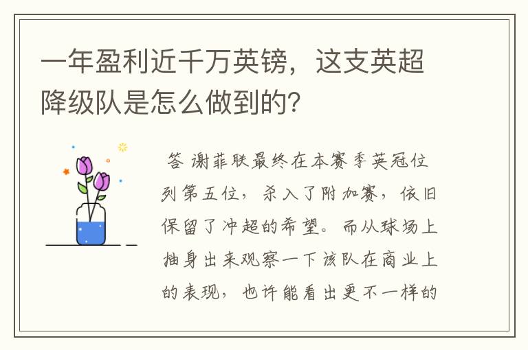 一年盈利近千万英镑,这支英超降级队是怎么做到的?