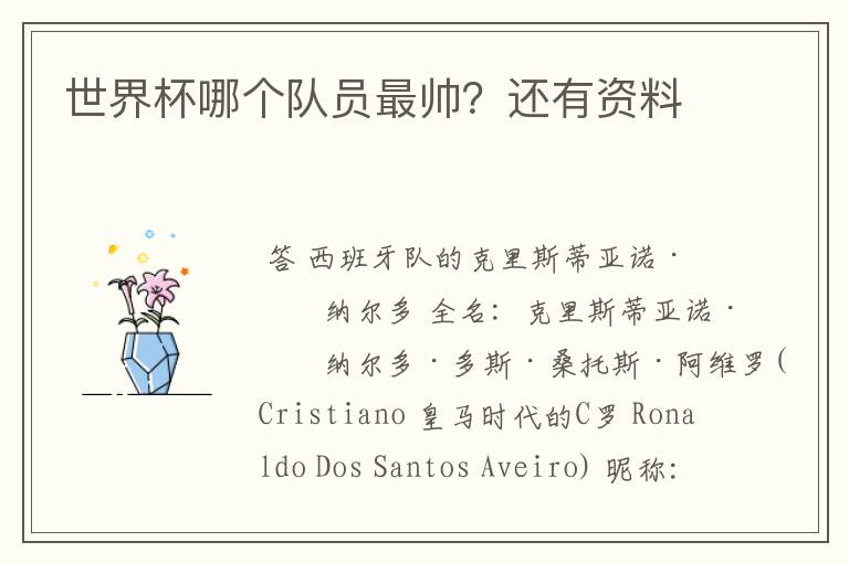 世界杯哪个队员最帅?还有资料