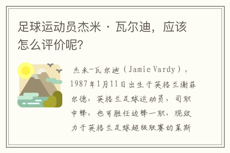 足球运动员杰米 · 瓦尔迪,应该怎么评价呢?