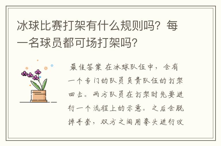 冰球比赛打架有什么规则吗？每一名球员都可场打架吗？