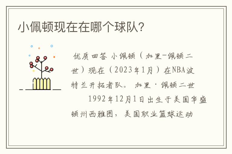 小佩顿现在在哪个球队?