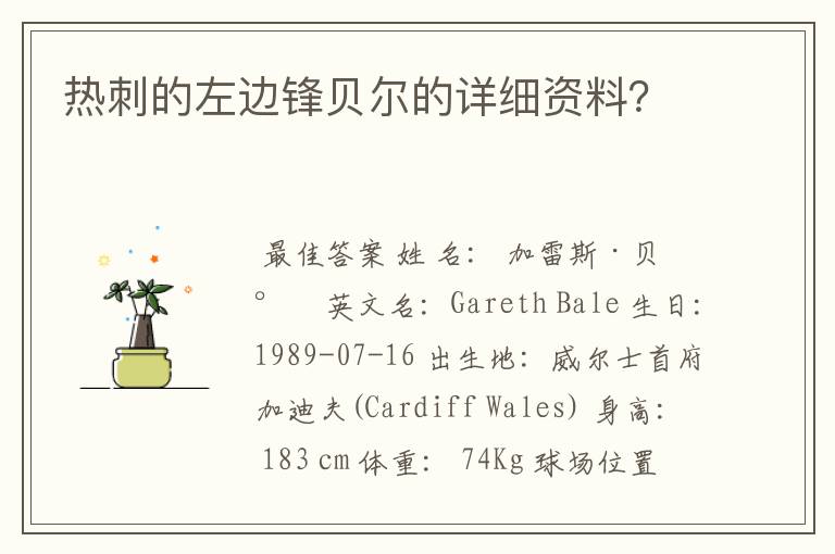 热刺的左边锋贝尔的详细资料?