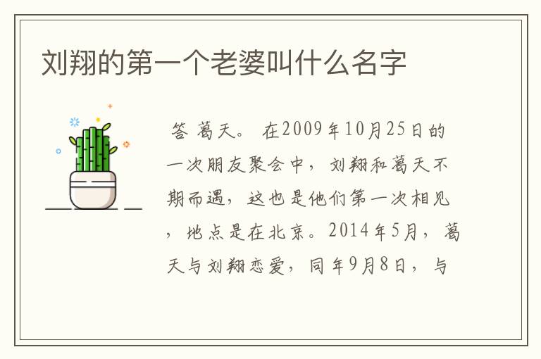 刘翔的第一个老婆叫什么名字