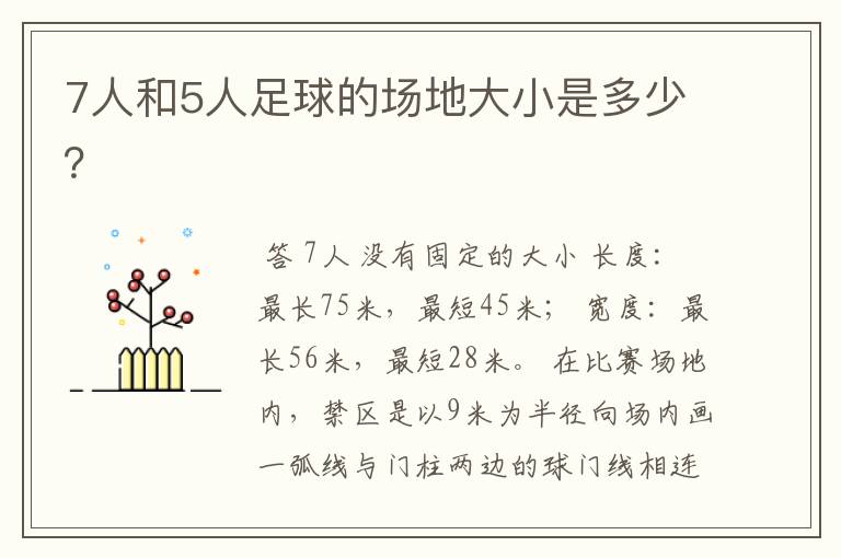 7人和5人足球的场地大小是多少?