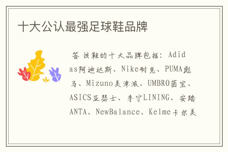 十大公认最强足球鞋品牌