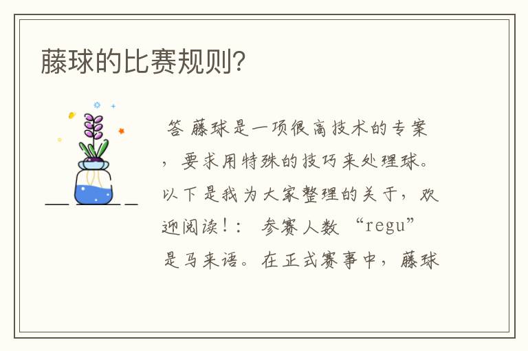 藤球的比赛规则?