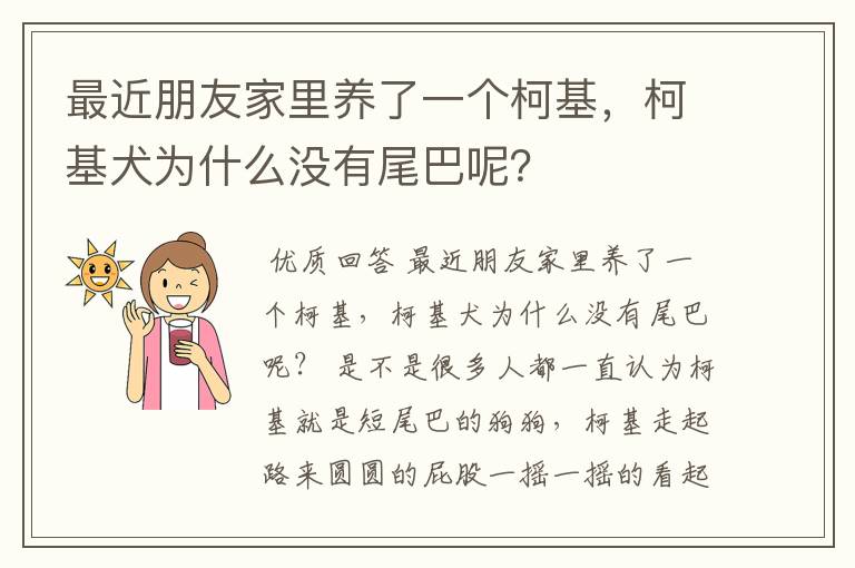 最近朋友家里养了一个柯基,柯基犬为什么没有尾巴呢?
