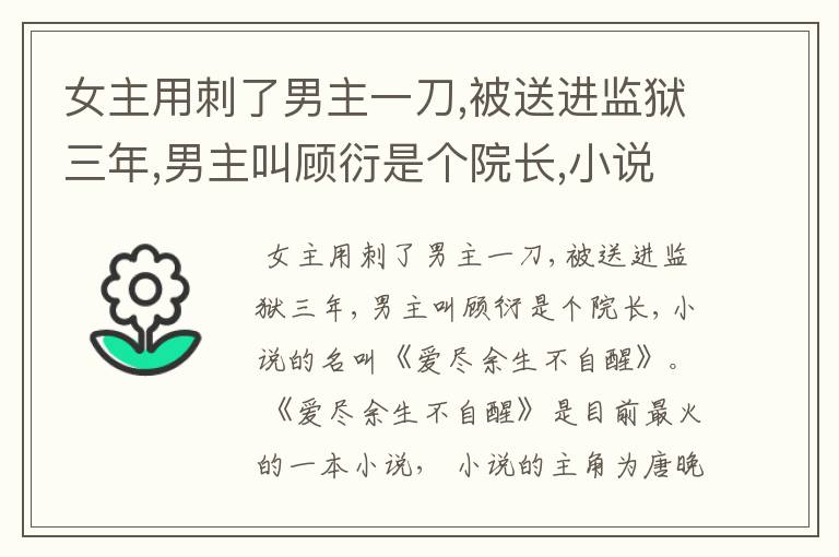 女主用刺了男主一刀,被送进监狱三年,男主叫顾衍是个院长,小说的名叫什么?