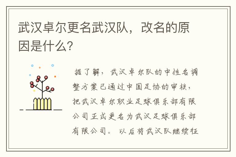 武汉卓尔更名武汉队,改名的原因是什么?