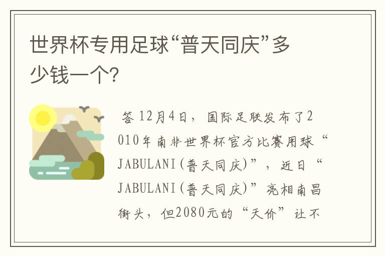 世界杯专用足球“普天同庆”多少钱一个?
