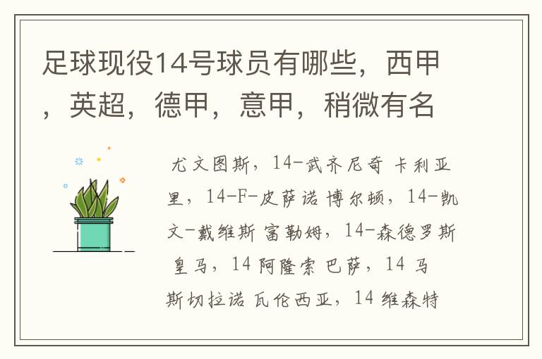足球现役14号球员有哪些,西甲,英超,德甲,意甲,稍微有名气点的。 除了沃尔科特,埃尔南德斯,莫得里奇