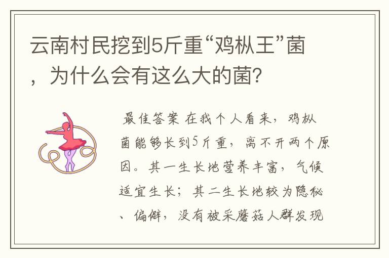 云南村民挖到5斤重“鸡枞王”菌,为什么会有这么大的菌?