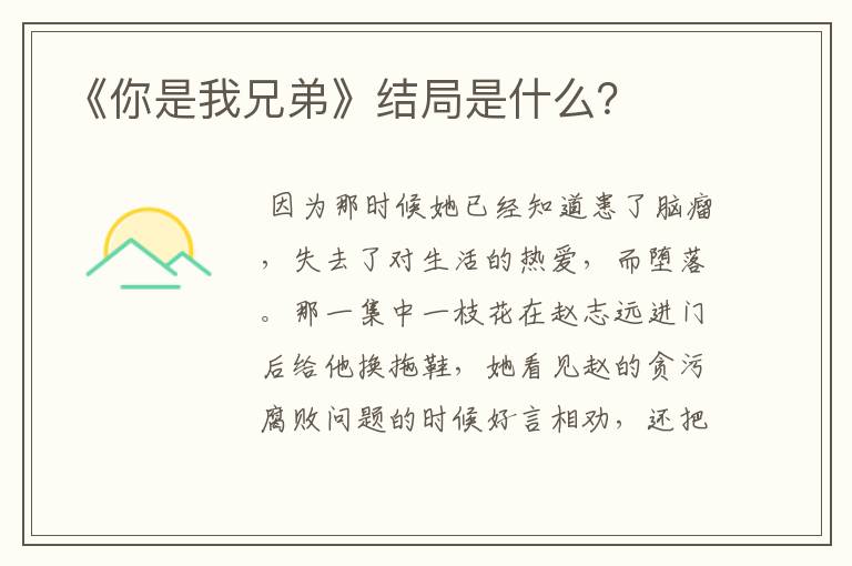 《你是我兄弟》结局是什么?