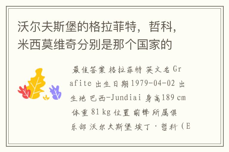 沃尔夫斯堡的格拉菲特,哲科,米西莫维奇分别是那个国家的