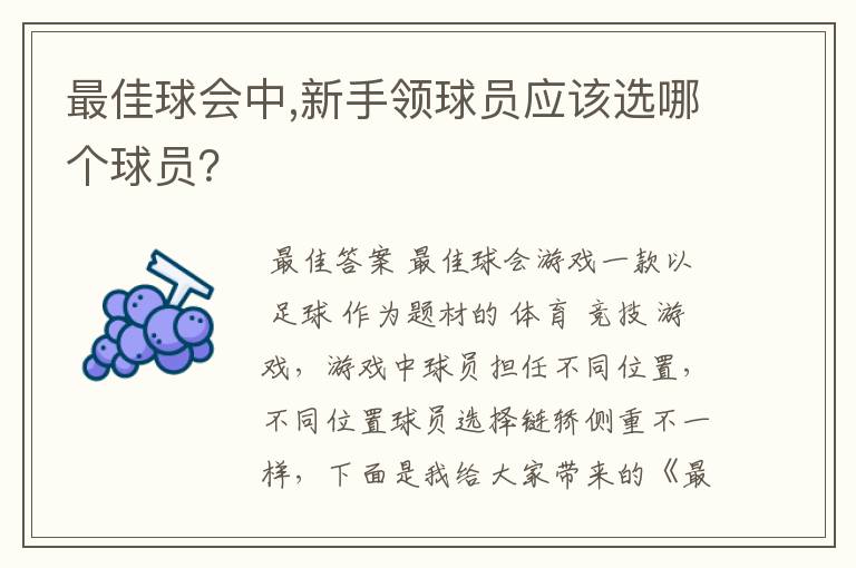 最佳球会中,新手领球员应该选哪个球员?