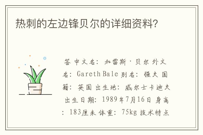 热刺的左边锋贝尔的详细资料?