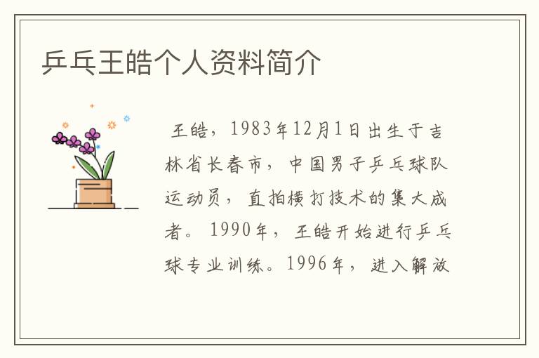 乒乓王皓个人资料简介