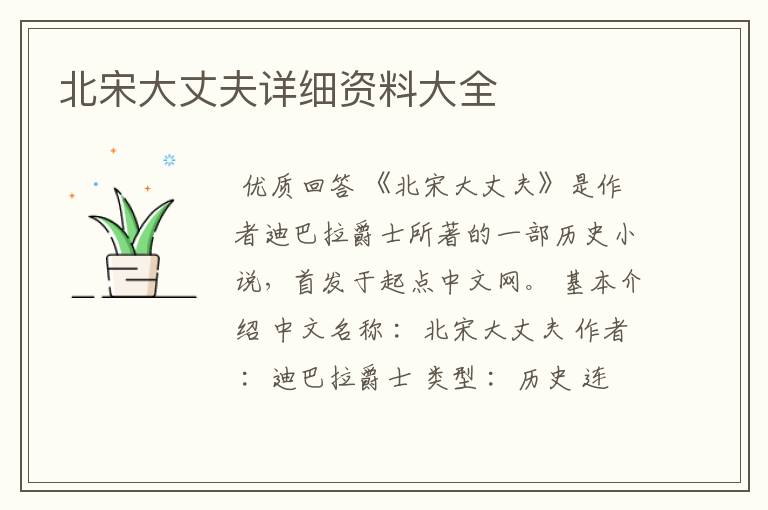 北宋大丈夫详细资料大全