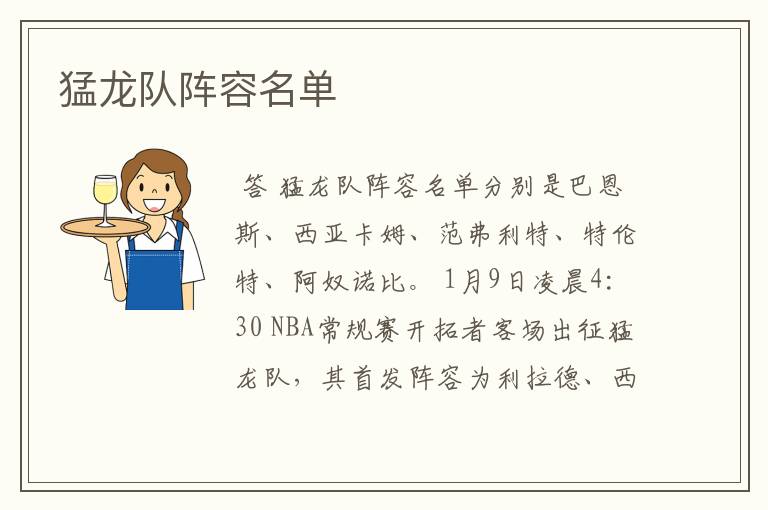 猛龙队阵容名单