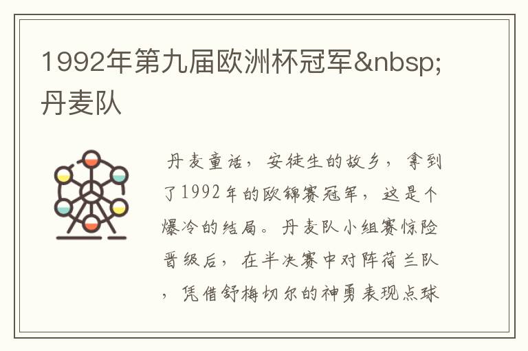 1992年第九届欧洲杯冠军 丹麦队