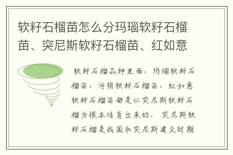 软籽石榴苗怎么分玛瑙软籽石榴苗、突尼斯软籽石榴苗、红如意软籽石榴苗?
