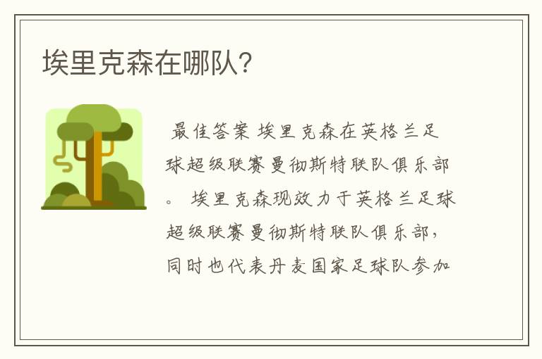 埃里克森在哪队?