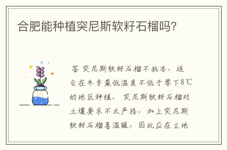 合肥能种植突尼斯软籽石榴吗?